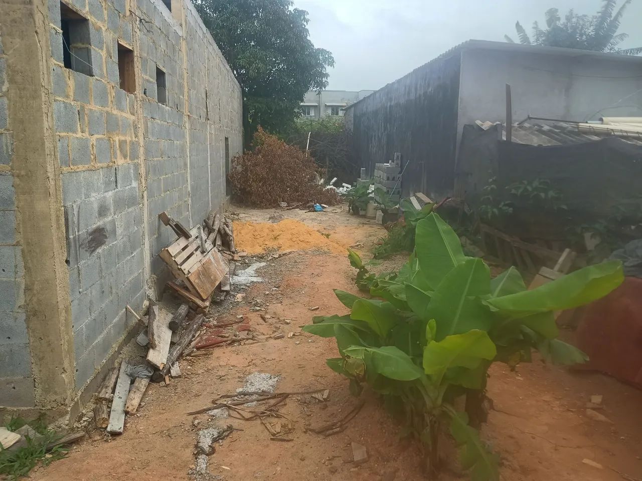 Foto - Suzano - Jardim dos Ipês
