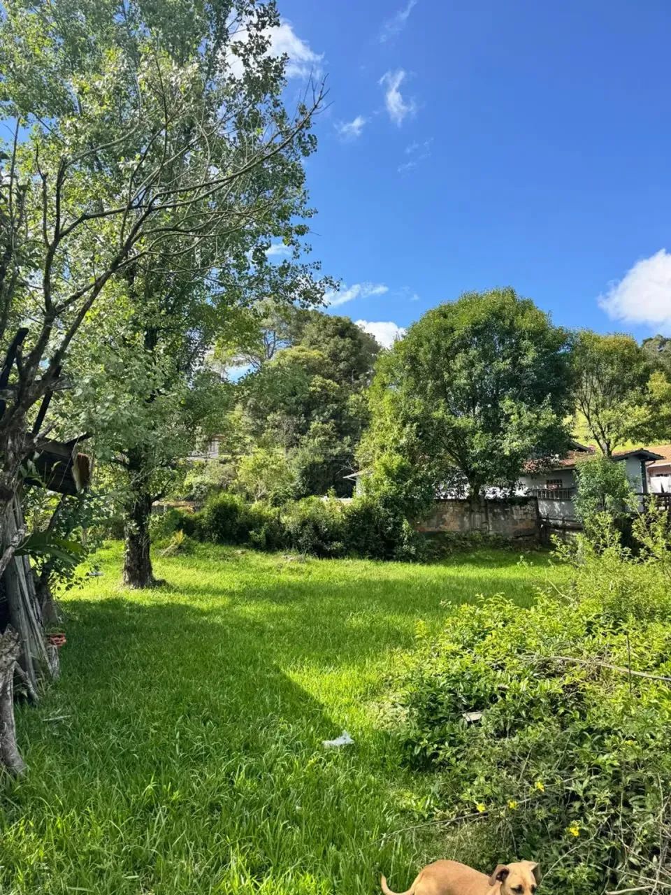 Terrano no Centro - Rancho Queimado - SC - Foto 4