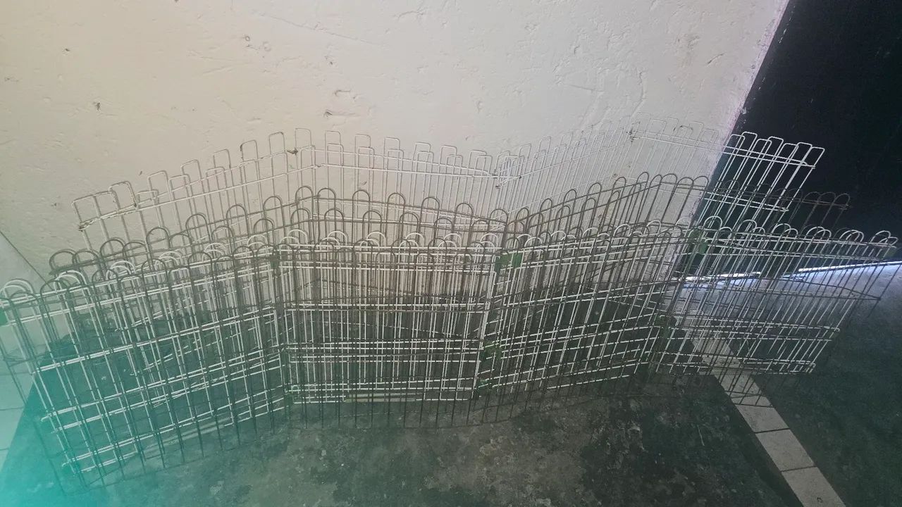 Vendo certinho pra animais - Foto 2