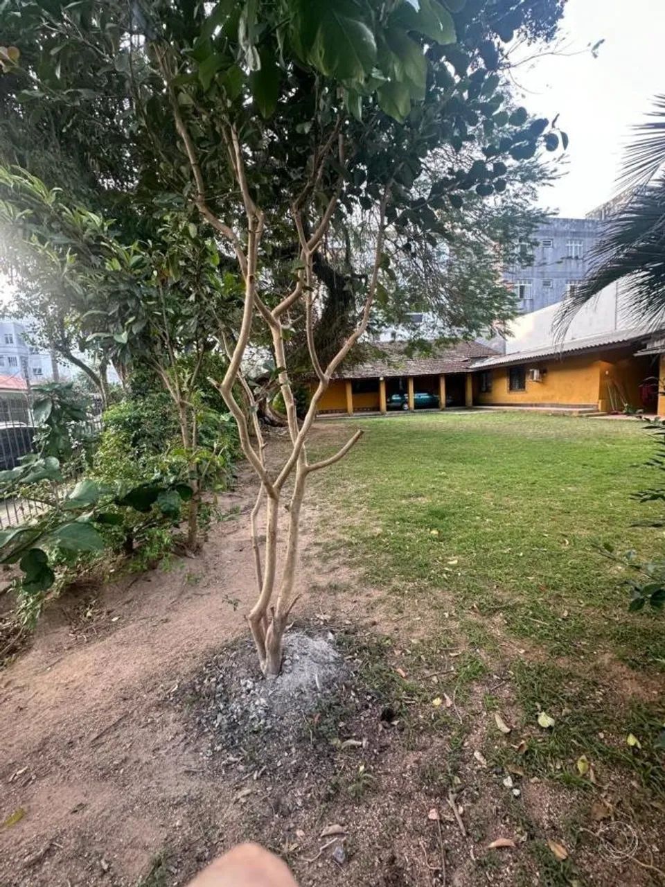 Terreno para Venda em Florianópolis, Coqueiros - Foto 2