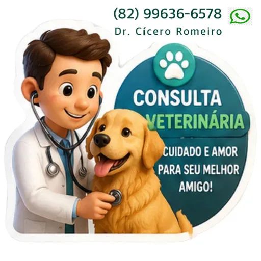 Veterinário a domicílio  - Foto 3