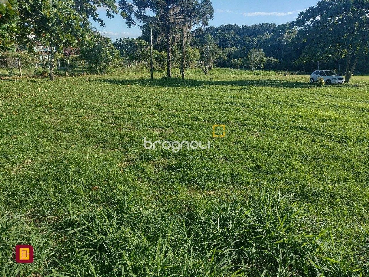 Excelente terreno, próximo ao trevo de Vargem Grande com 240.000,00m² - Foto 3