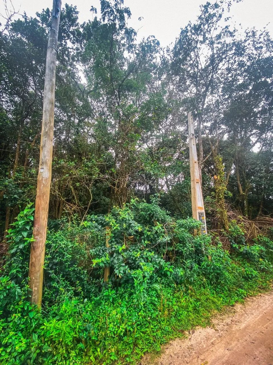 Terreno Amplo em Ibiraquera na Beira da Lagoa - Foto 4