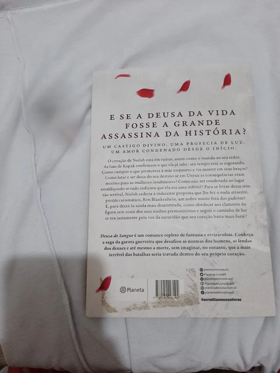 Livro Deusa de Sangue - Foto 4