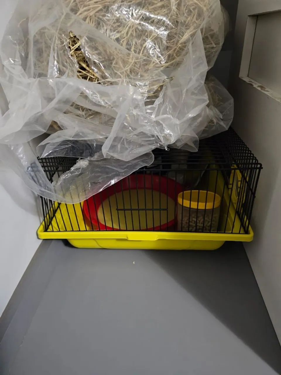 Terrário Hamster/Gerbil - Foto 3
