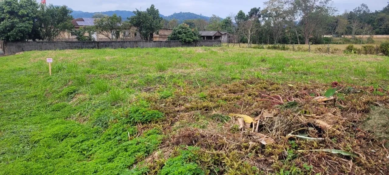 Terreno em Pomerode  - Foto 5