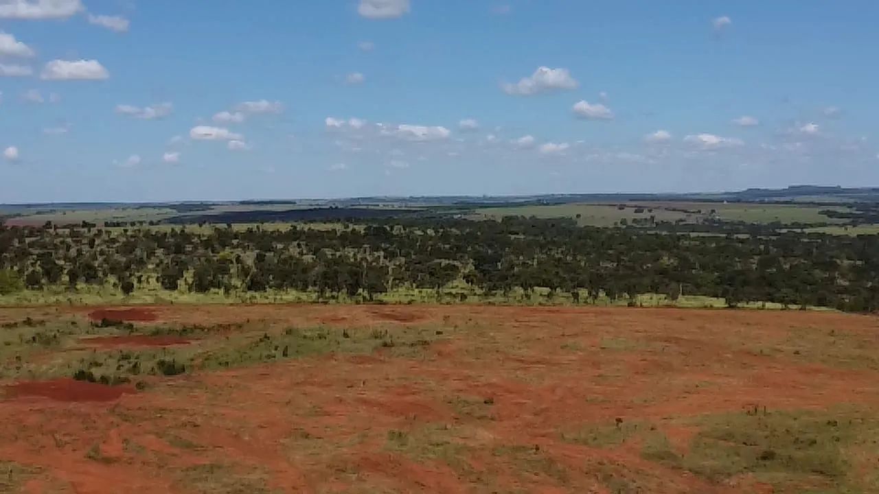 Fazenda dupla aptidão municípios do Prata  - Foto 2