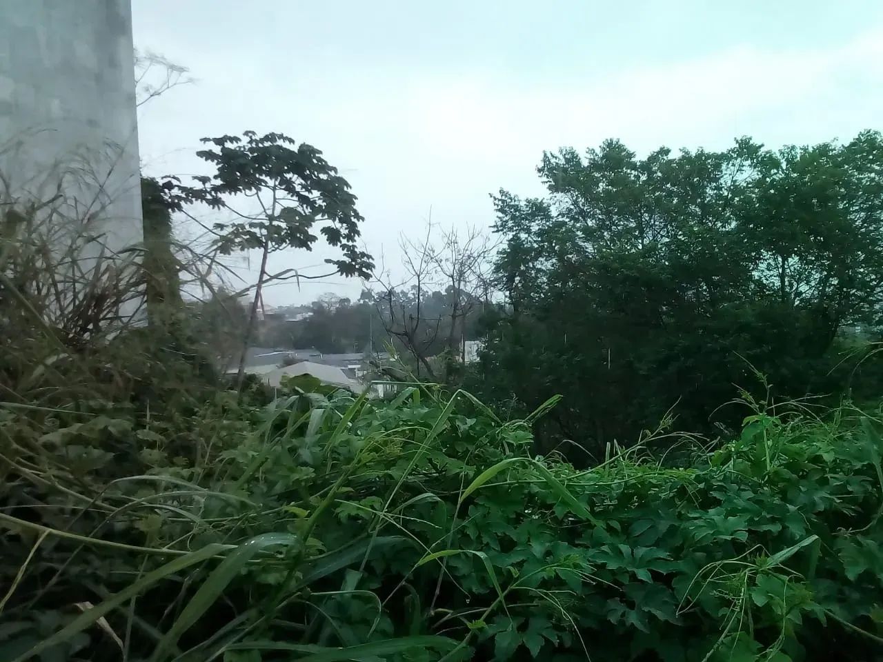 Terreno localizado na Agronômica com vista mar - Florianópolis - SC - Foto 2