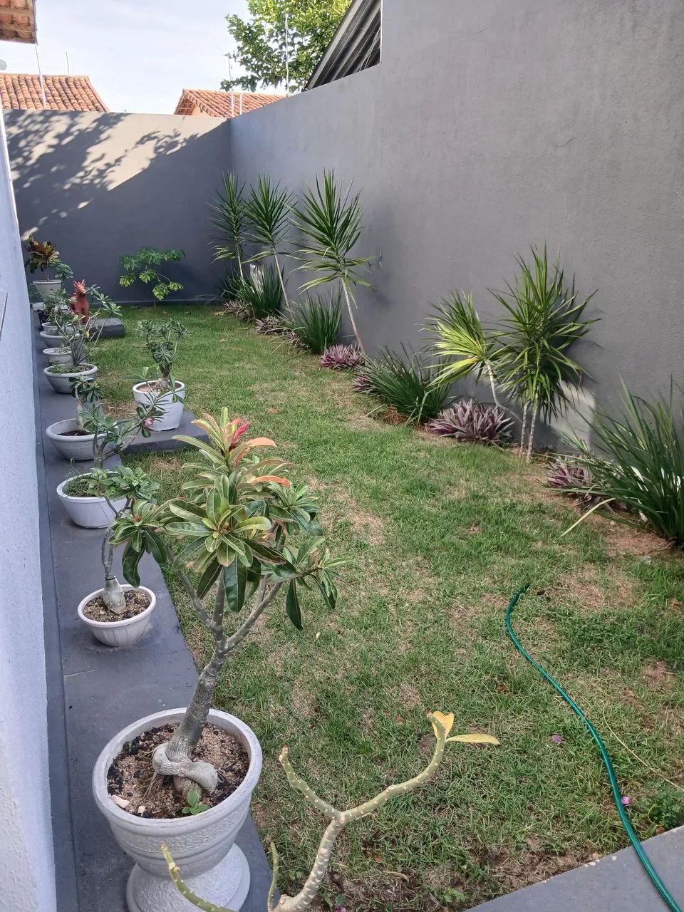 Repasse de financiamento de casa  - Foto 3