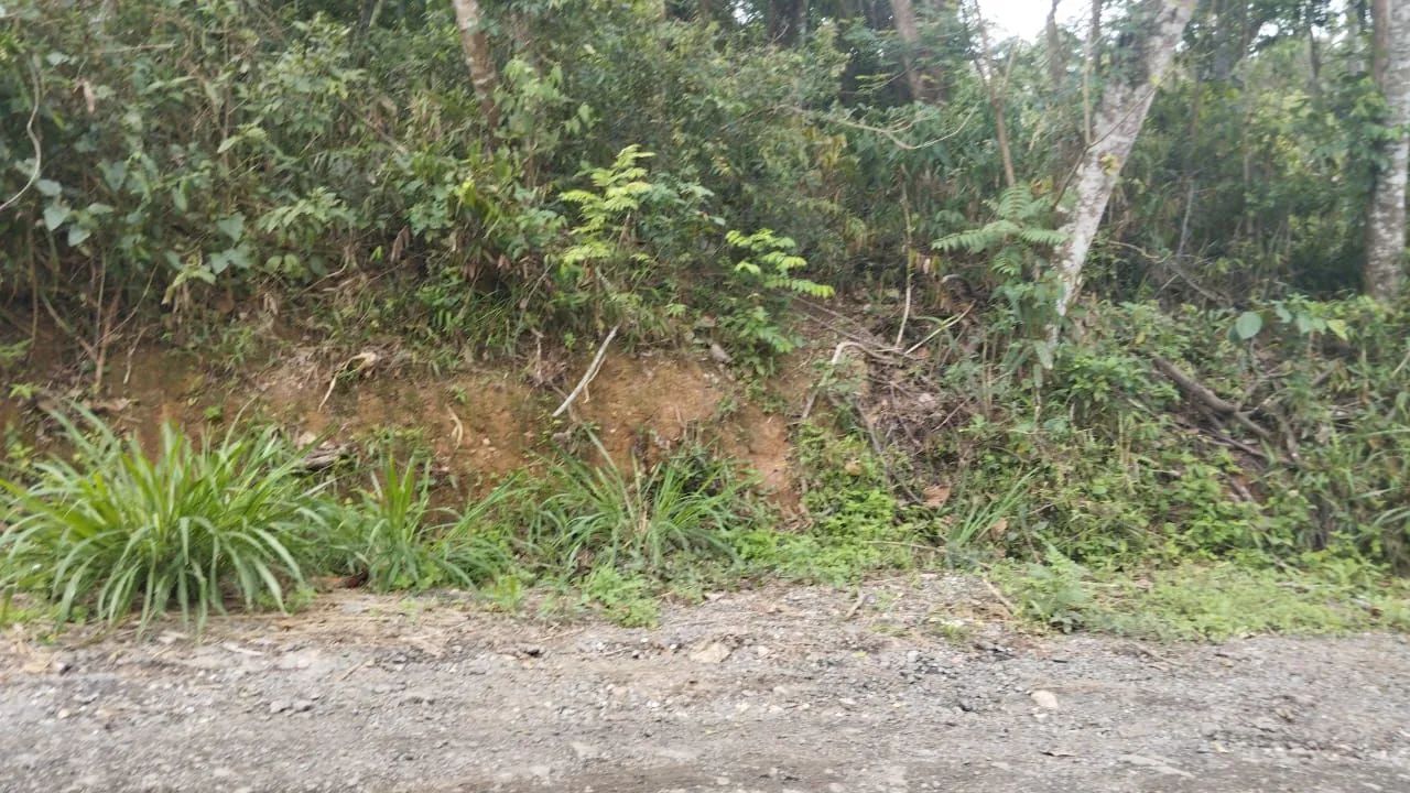 Lindo terreno para chácara  - Foto 5
