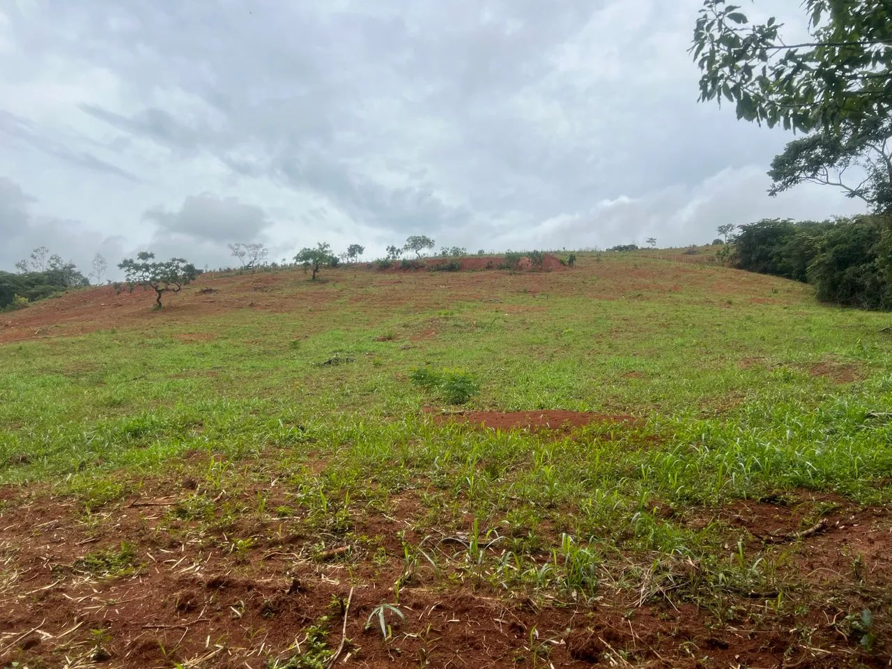 VENDE-SE TERRENO EM PIEDADE DOS GERAIS - Foto 2