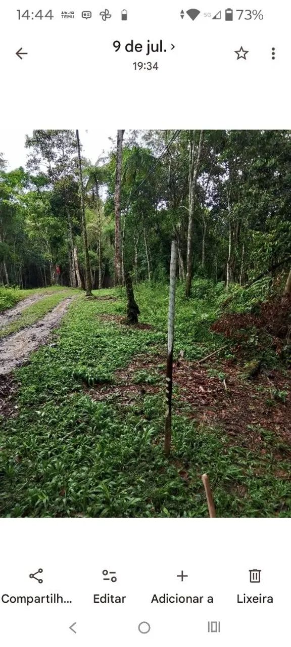 VENDO ÁREA DE CHÁCARA. - Foto 3
