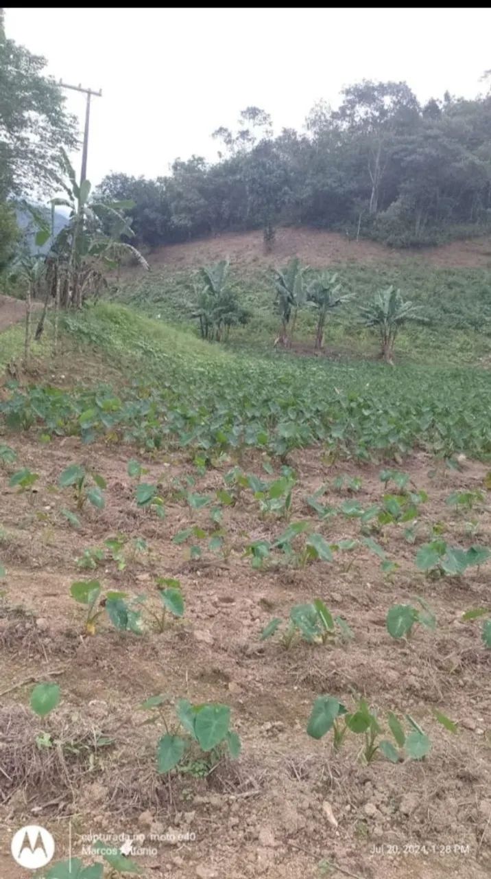Terreno em Área Verde Cachoeiras de Macacu  - Foto 2