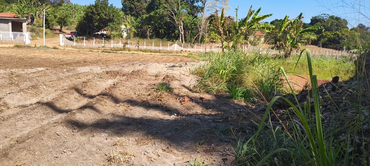 Vendo lotes ou terreno completo  - Foto 4