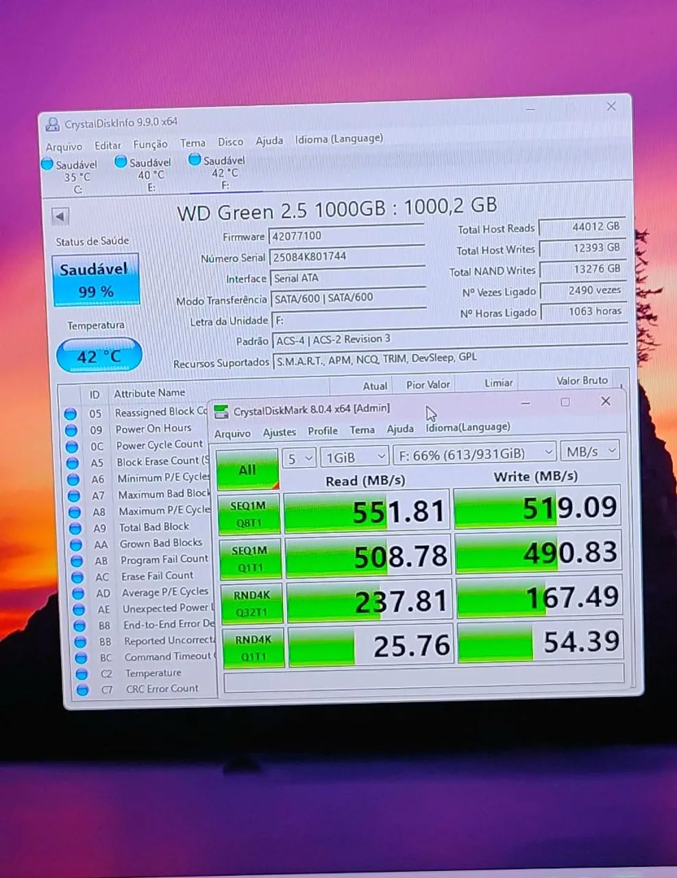 SSD WD 1 TERA Western Digital 1000GB - Foto 3