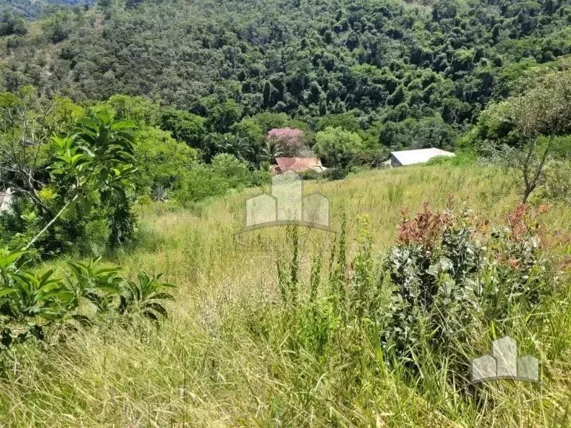 Terreno com 4.000 m² em Itaipava - Foto 4