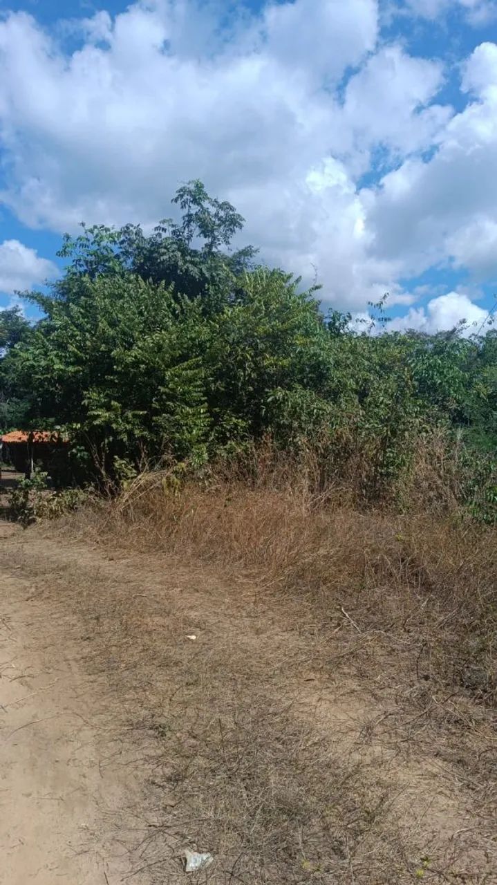 Terreno 50×100 zona rural timon - Foto 4