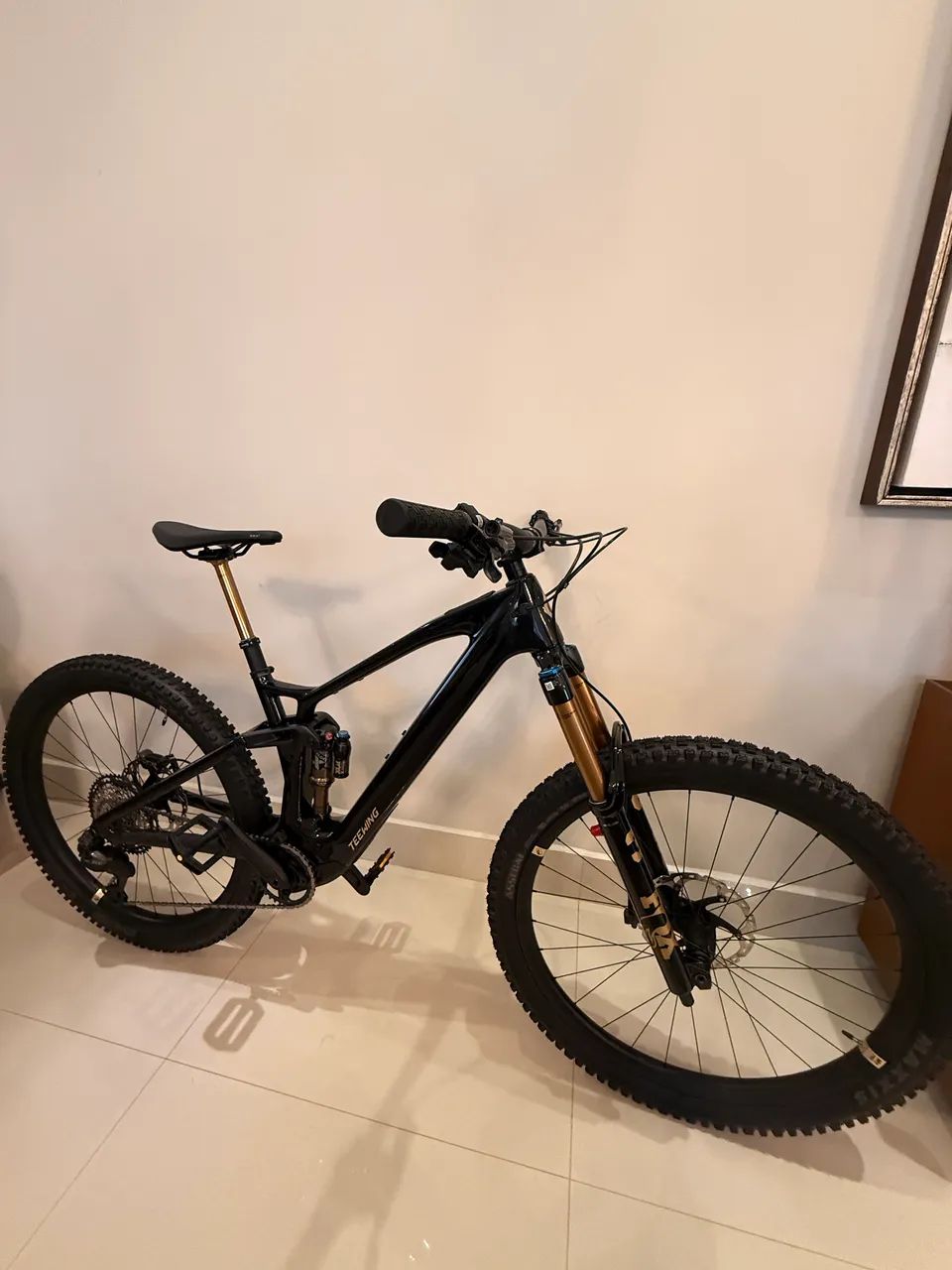 Ebike M2s Teewing Pro M 