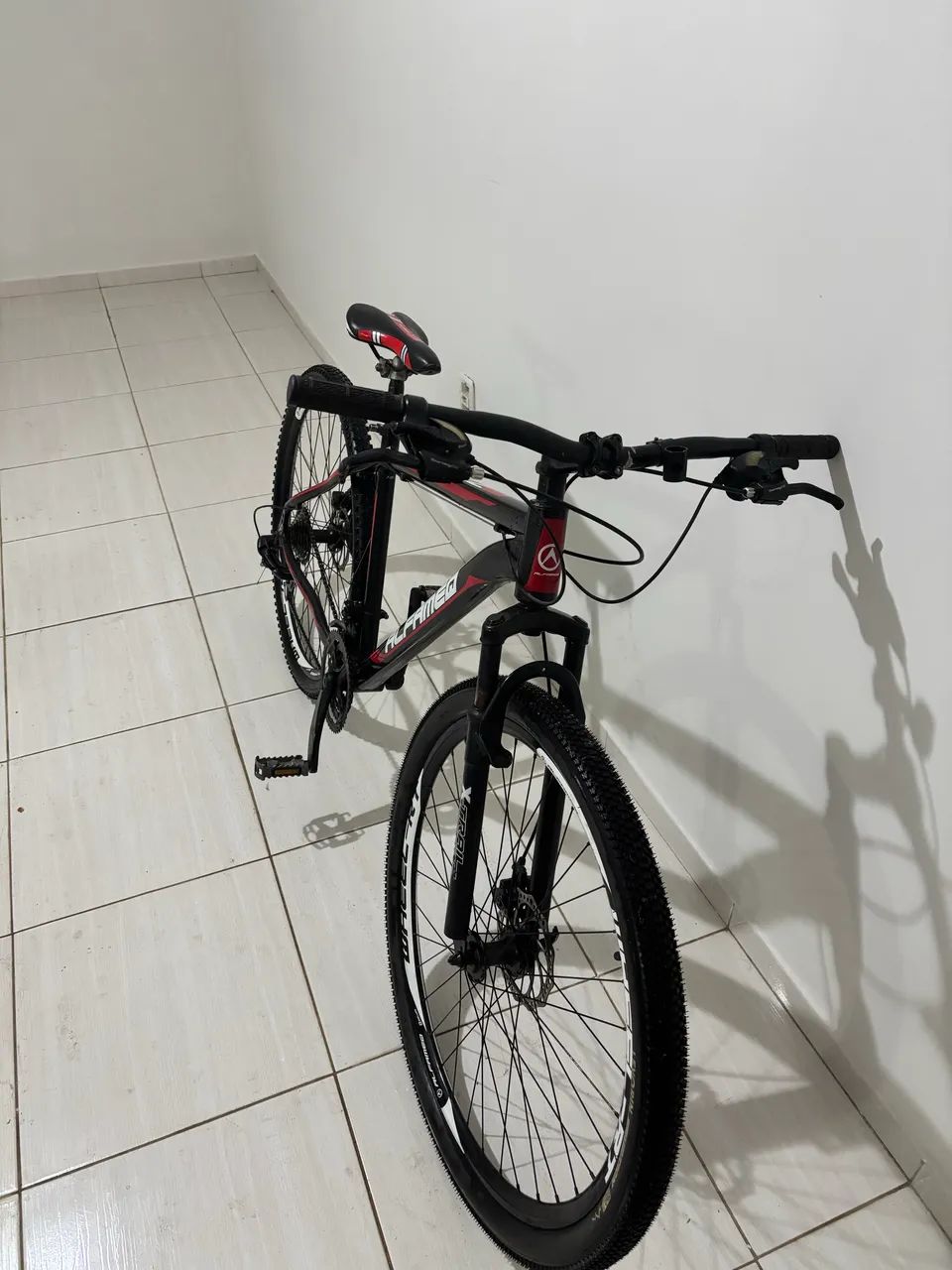 Bicicleta Alfameq + Rolo de Treino