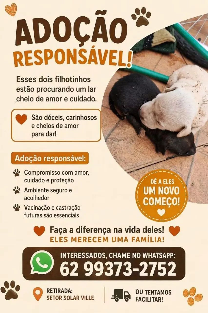DOAÇÃO/ADOÇÃO MACHOS