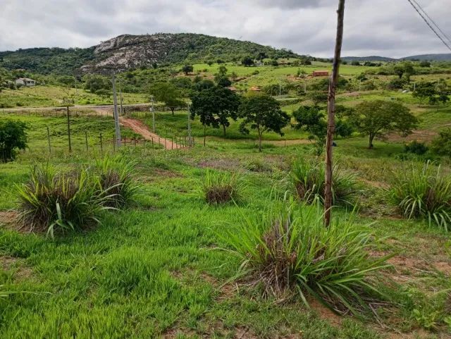 CHÁCARA EM SNATA INÊS - 40 TAREFAS - Foto 4
