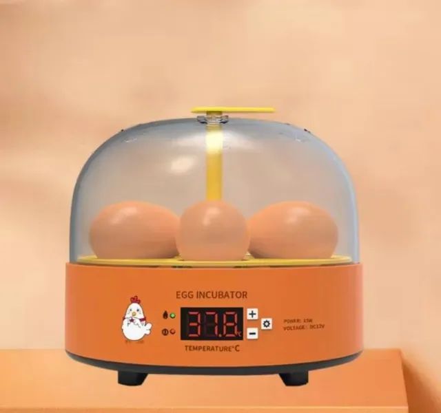 Chocadeira automática 