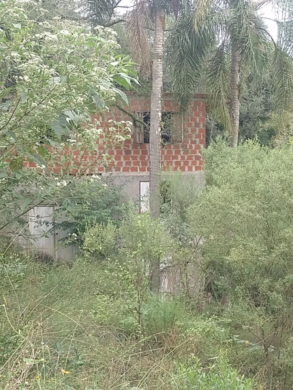 Permuto  - Foto 3