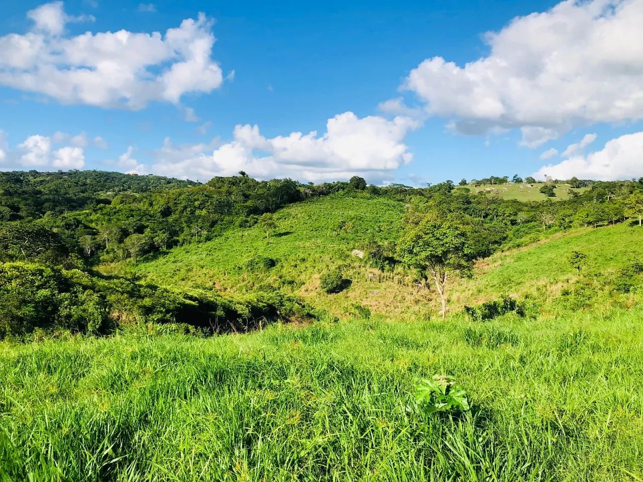 62 hectares a venda - Foto 5