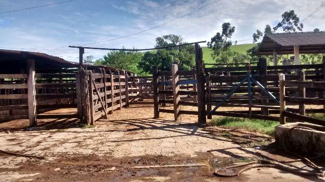 Fazenda Casemiro de Abreu 138 alqueires - Foto 3