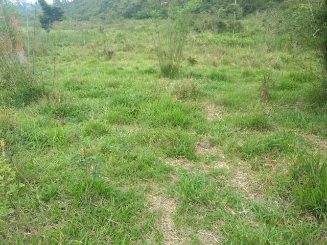 Terreno 3000m2 Igrejinha para Granja, com uma obra iniciada, 2 quartos pela metade - Foto 14