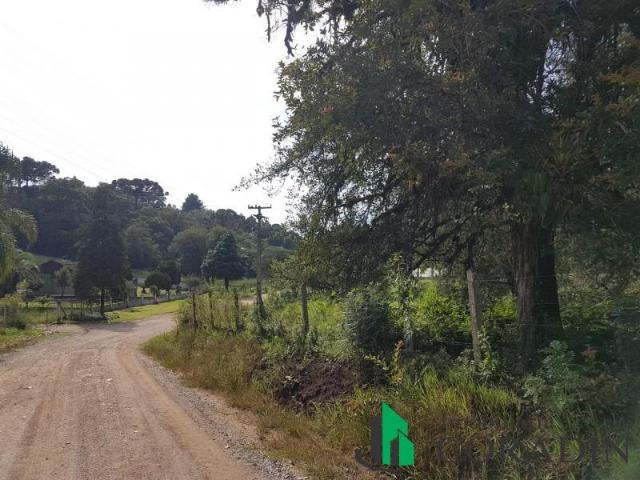 Linda Chácara em Bocaiuva do Sul - Foto 12