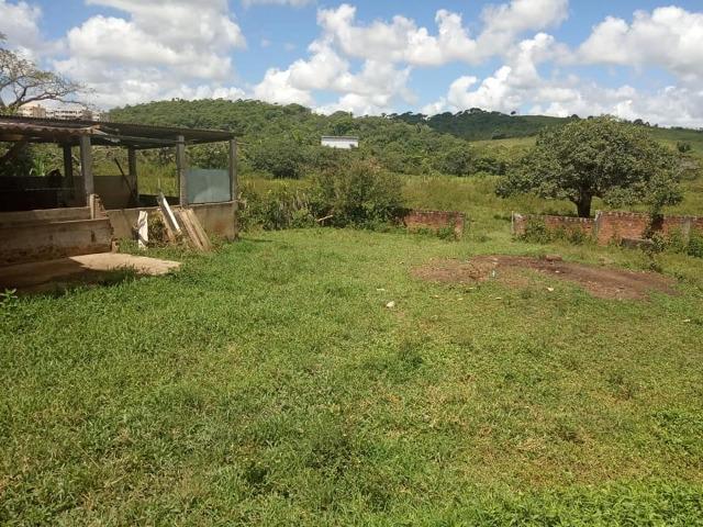 Vendo excelente área com 7.8 Hectáres em São Lourenço da Mata / PE - Foto 14