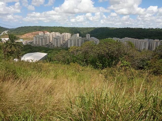 Vendo excelente área com 7.8 Hectáres em São Lourenço da Mata / PE - Foto 5