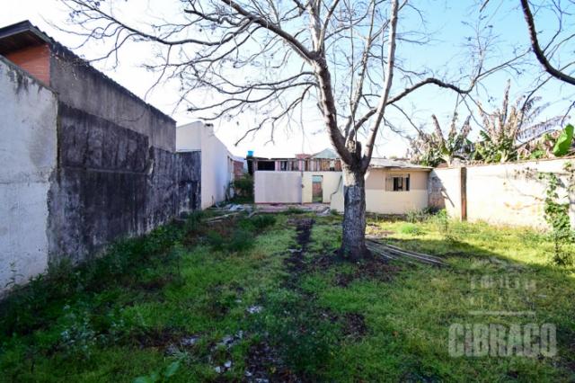 Terreno à venda em Afonso pena, São josé dos pinhais cod: * - Foto 3