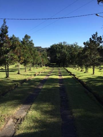 Chácara com 3 dormitórios para alugar, 24000 m² por r$ 4.000/mês - zona rural - mandiritub - Foto 3