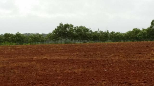 Fazenda 663 Alqueires região Porangatu Goias - Foto 4