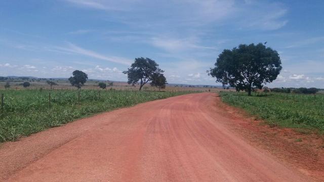 Fazenda 2.520 Alqueires - Foto 19