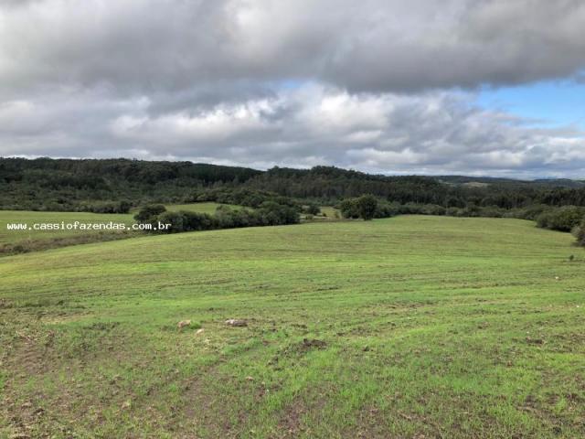 Fazenda para venda em encantado, interior - Foto 6