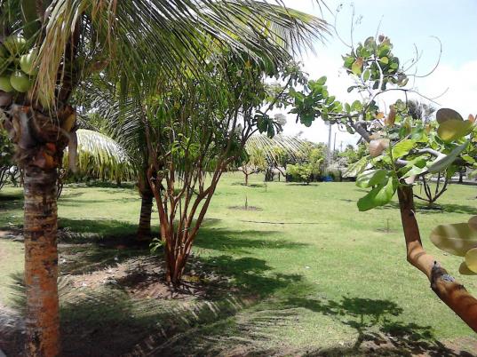 Vendo excelente terreno condomínio Praias do Sul I, próximo a Orla/Praia da Sarney - Foto 8