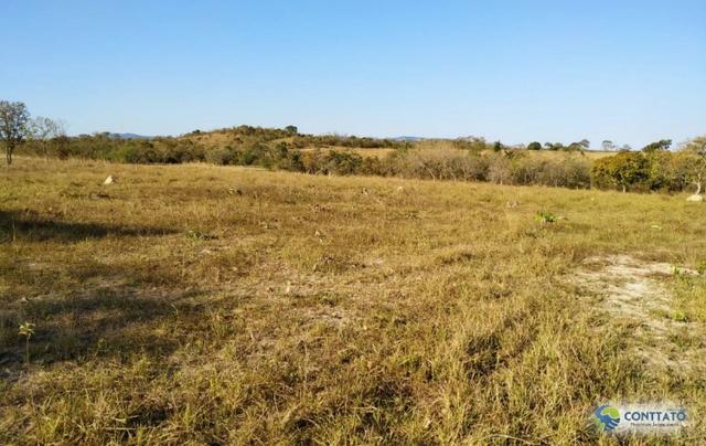 Fazenda 92 Ha toda formada e divisao de pasto - Foto 10