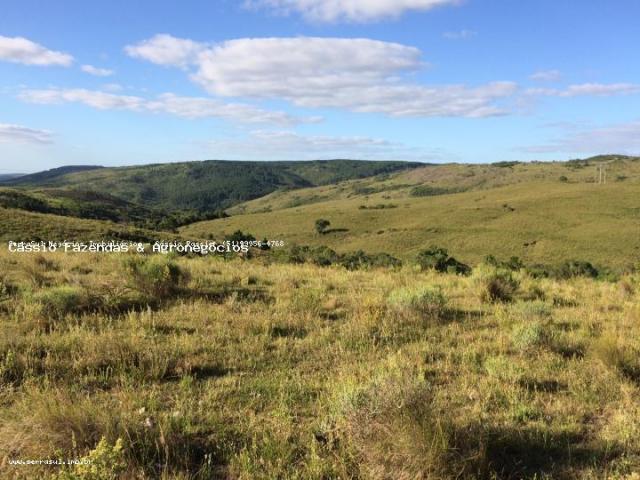 Fazenda para venda em encruzilhada do sul, interior - Foto 2