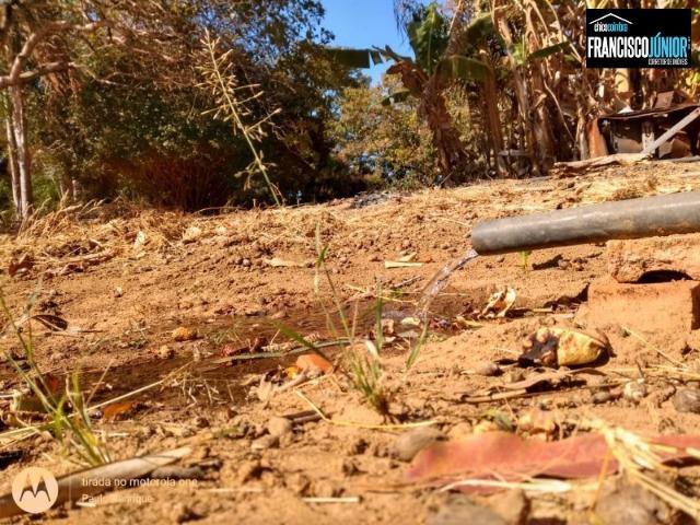 Chácara em Vianópolis, 1 alqueire e 1 hectare de pura beleza e encantamento - Foto 12
