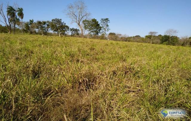 Fazenda 92 Ha toda formada e divisao de pasto - Foto 3