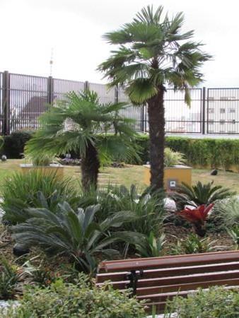 Oferta Union Imóveis, apartamento de alto padrão a venda, próximo ao centro, com 153 m²! - Foto 4