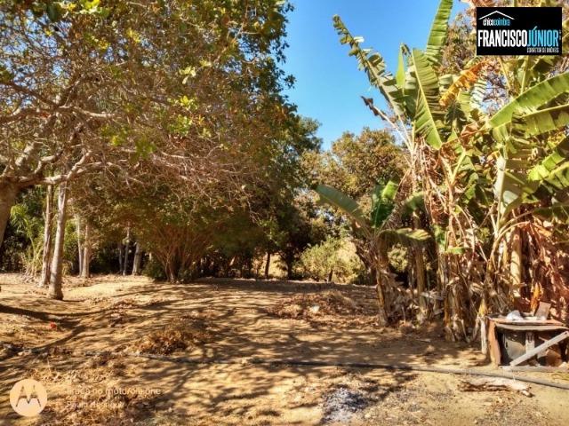 Chácara em Vianópolis, 1 alqueire e 1 hectare de pura beleza e encantamento - Foto 6
