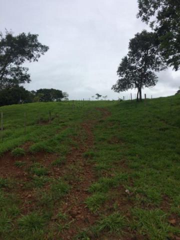 Fazenda rural à venda em Roncador - PR - 52 alqueires. - Foto 11