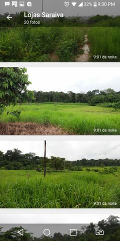 Venda fazenda - Foto 4