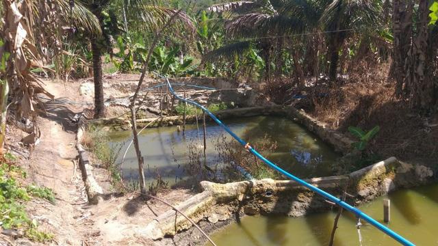 Excelente propriedade em Chã Grande, com 7 hectares - Foto 11