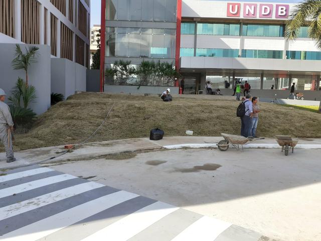 Paisagismo e manutenção