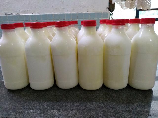 Leite de cabra direto do produtos - Foto 3